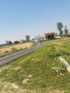 Others image of 1208.0 Sq.ft   Commercial Plot for sale in Gosainganj for 2200000