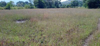 Others image of 11000.0 Sq.ft   Commercial Plot for sale in Nagaon for 1500000