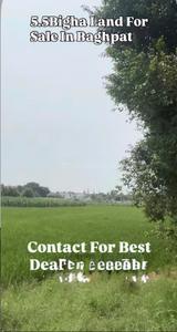 Commercial Plot