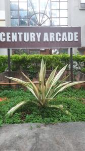 Others image of 300.0 Sq.ft  Ready to use Office Space for rent in Sangamvadi for 30000
