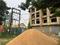 Others image of 6600.0 Sq.ft   Showroom for rent in Tihiri for 430000