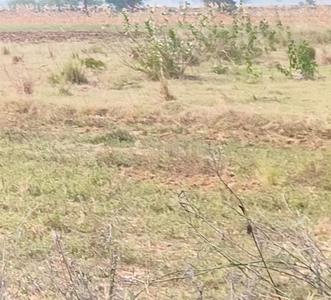 Others image of 200.0 Sq.ft   Commercial Plot for sale in Gannavaram for 1000000