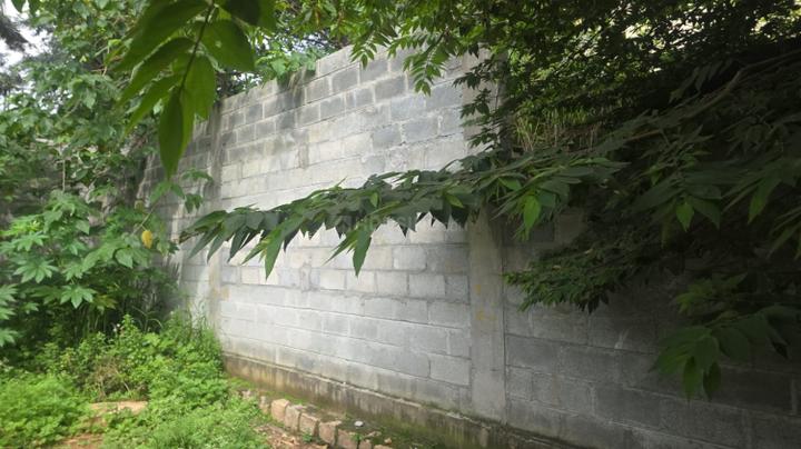 Others image of 2866.0 Sq.ft Commercial Plot for sale in Basavanagudi for 85900000
