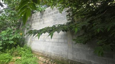 Commercial Plot