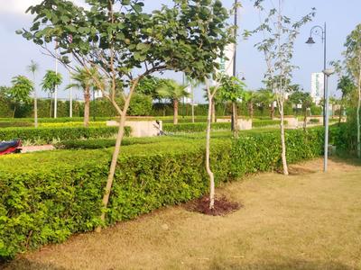 Others image of 215.0 Sq.ft   Shop for sale in Jaitikhera for 2500000