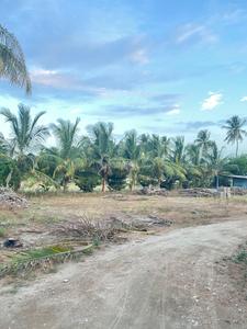 Others image of 15000.0 Sq.ft   Commercial Plot for rent in Kaalampalayam for 50000