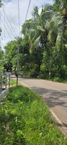 Commercial Plot