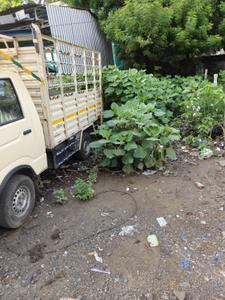 Commercial Plot