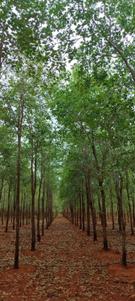 Others image of 21780.0 Sq.ft   Commercial Plot for sale in Mangalam for 1900000