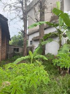 Commercial Plot