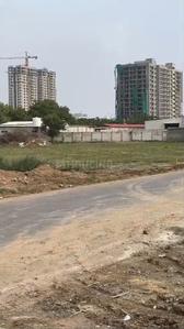 Commercial Plot