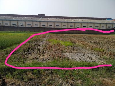 Others image of 45000.0 Sq.ft   Commercial Plot for rent in Naya Bazar for 540000