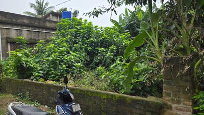 Others image of 1500.0 Sq.ft Commercial Plot for sale in Kamalgazi for 3700000