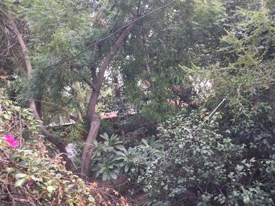 Others image of 5625.0 Sq.ft   Commercial Plot for rent in Surendra Nagar for 1000000