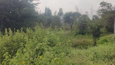 Others image of 300000.0 Sq.ft Commercial Plot for sale in Narsapura for 350000000