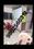 Others image of 250.0 Sq.ft   Shop for rent in Jogeshwari East for 25000