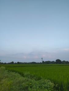 Others image of 2200.0 Sq.ft   Commercial Plot for rent in Chilkur for 80000