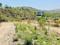 Others image of 20000.0 Sq.ft   Commercial Plot for rent in Bavdhan for 400000