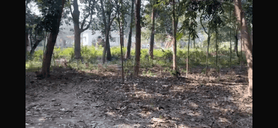 Commercial Plot