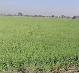 Others image of 35654.38 Sq.ft Commercial Plot for rent in Kundli for 35000