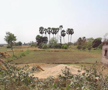 Floor Plan image of 12250.0 Sq.ft Commercial Plot for sale in Kanhauli for 22500000