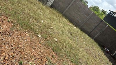 Others image of 1000.0 Sq.ft   Commercial Plot for rent in Mukundnagar for 50000