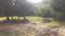 Others image of 30000.0 Sq.ft   Commercial Plot for rent in Chembarambakkam for 300000