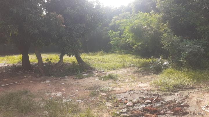 Others image of 30000.0 Sq.ft   Commercial Plot for rent in Chembarambakkam for 300000