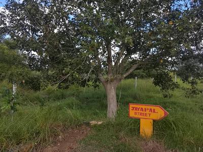 Others image of 87120.0 Sq.ft   Commercial Plot for sale in Nallur for 16000000