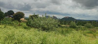 Others image of 1200.0 Sq.ft   Commercial Plot for sale in Bidadi for 3900000