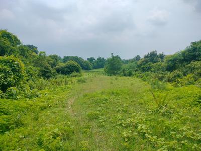 Others image of 150000.0 Sq.ft   Commercial Plot for sale in Domohani Railway Colony for 26400000