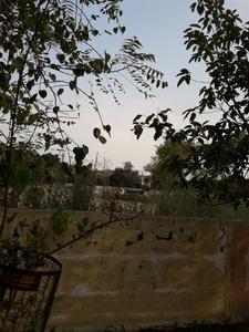 Others image of 10000.0 Sq.ft   Commercial Plot for sale in Sector 164 for 70000000