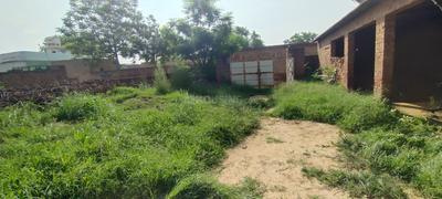 Commercial Plot