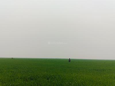 Others image of 1600.0 Sq.ft   Commercial Plot for sale in Ashiana Digha Road for 1118400
