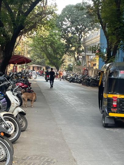 Others image of 500.0 Sq.ft Shop for rent in Bhandup West for 95000