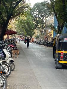 Others image of 500.0 Sq.ft   Shop for rent in Bhandup West for 95000