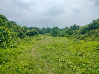 Others image of 150000.0 Sq.ft   Commercial Plot for sale in Domohani Railway Colony for 26400000