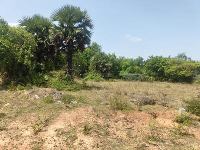 Others image of 8700.0 Sq.ft   Commercial Plot for sale in Sriperumbudur for 15000000