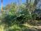 Others image of 2400.0 Sq.ft   Commercial Plot for rent in Nadukuthagai for 15000