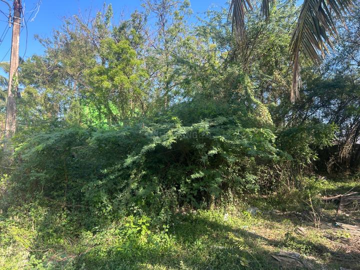 Others image of 2400.0 Sq.ft   Commercial Plot for rent in Nadukuthagai for 15000