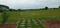 Others image of 1500.0 Sq.ft   Commercial Plot for rent in South Bopal for 112500
