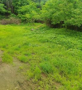 Others image of 27000.0 Sq.ft   Commercial Plot for sale in Rule for 18900000