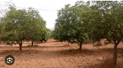 Others image of 13068.0 Sq.ft   Commercial Plot for sale in Kapadia Chal for 4800000