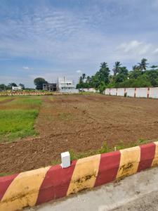 Commercial Plot