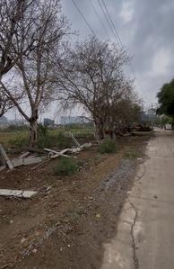 Commercial Plot
