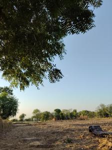 Commercial Plot