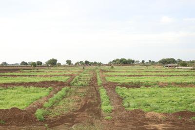 Others image of 5445.0 Sq.ft   Commercial Plot for sale in Sadasivpet for 4500000