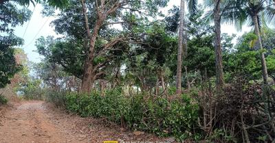 Others image of 50000.0 Sq.ft   Commercial Plot for sale in Kashid for 400000