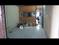 Others image of 180.0 Sq.ft  Ready to use Office Space for rent in Vishrantwadi for 10000
