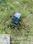 Others image of 495.0 Sq.ft   Commercial Plot for sale in Purseni for 4500000